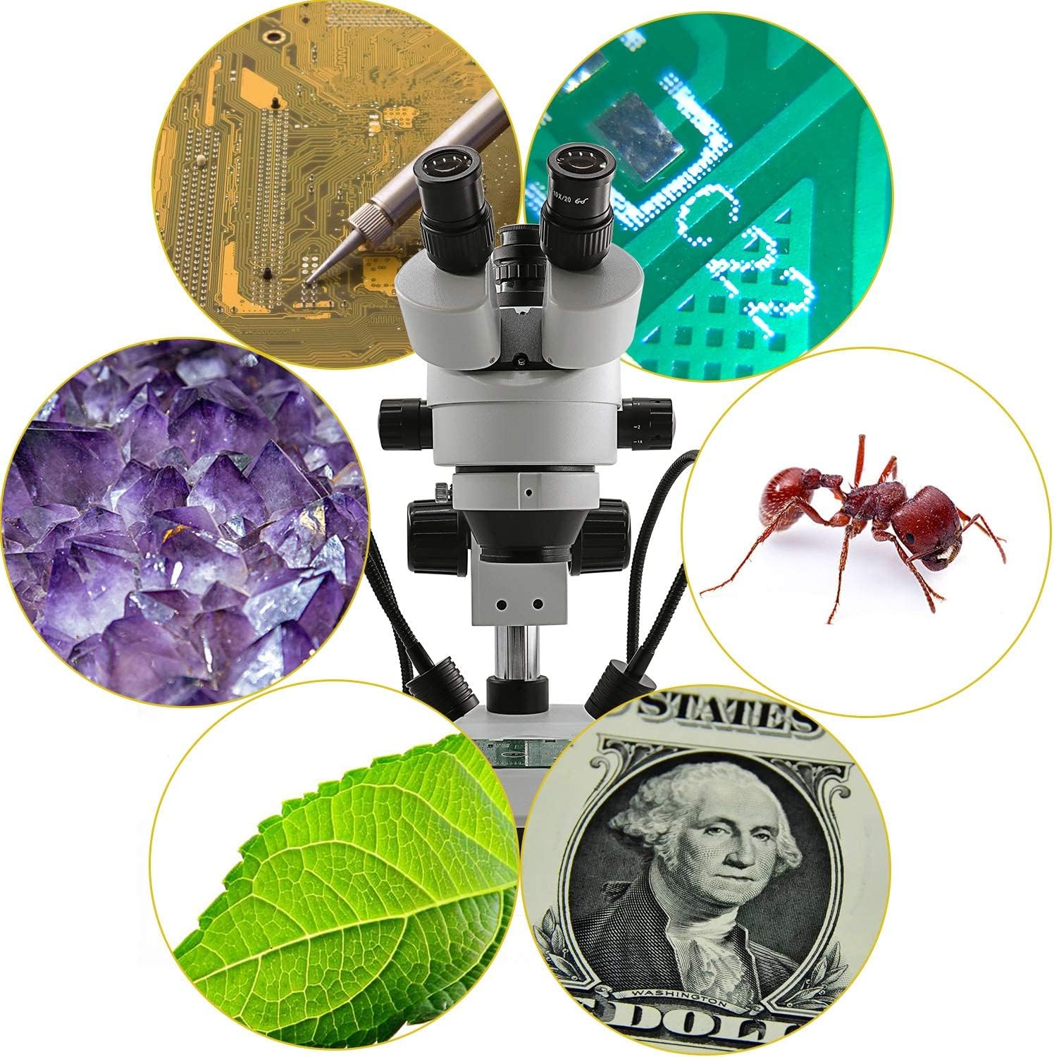 SWIFT Digital Professional Trinocular Stereo Zoom Microscope,WF10X Eyepieces,3.5X-90X Magnification,0.7X-4.5X Zoom Objective,56-Bulb LED Ring Light