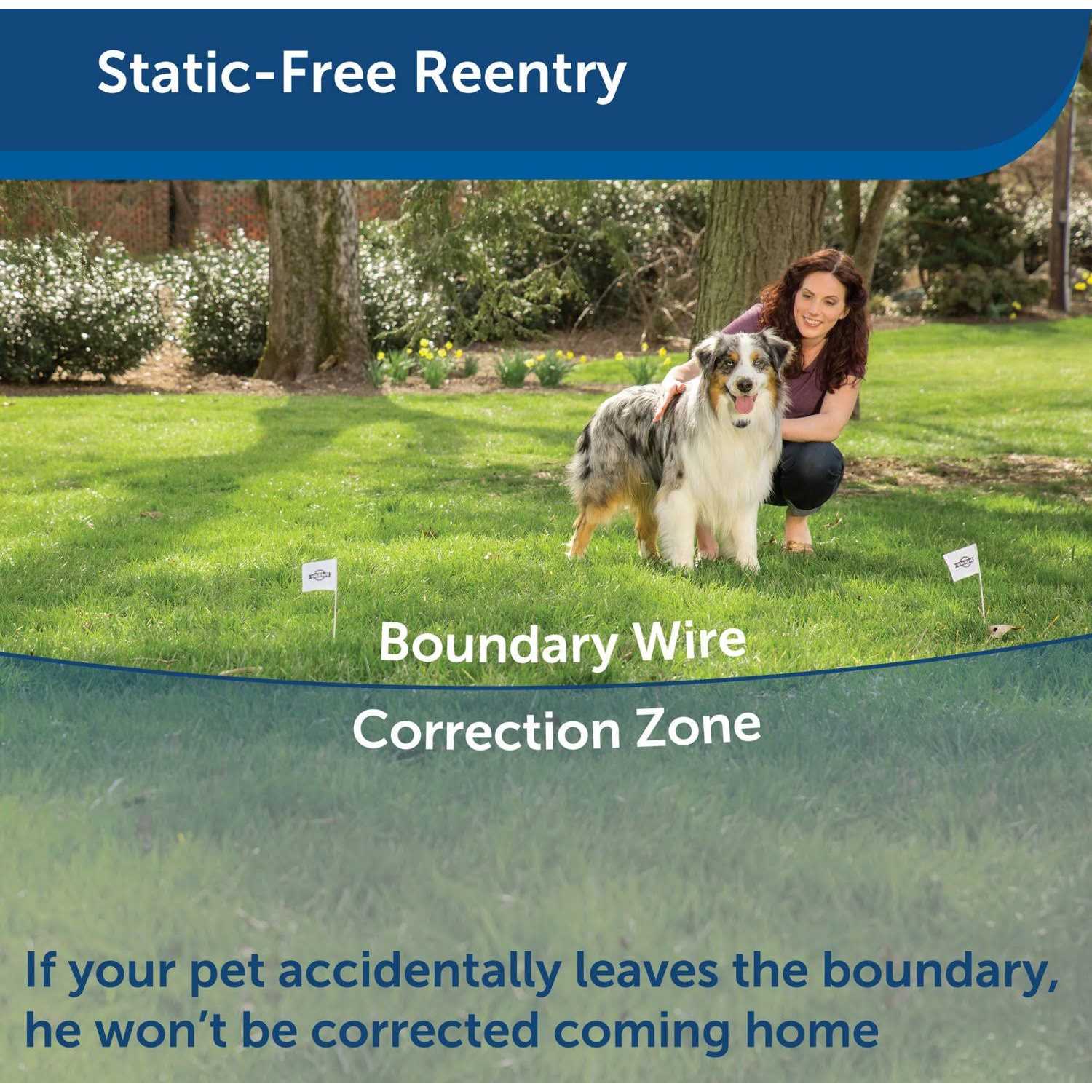 PetSafe YardMax Rechargeable In-Ground Fence - Pet Supplies online store