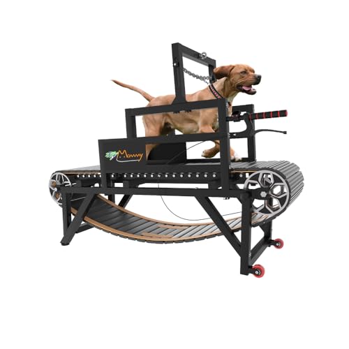 Dog Treadmill with Disc Brake, Resistance Adjustment, Paw-Friendly PE Slatmill & Speedometer - Heavy Duty Dog Treadmill for Large & Medium Dogs