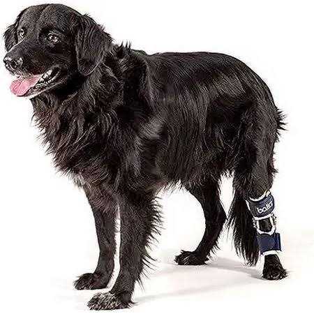 Balto Sport Agile CCL Brace Knee Support for Dogs Soft