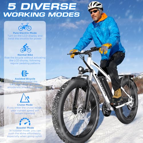 Electric Bike for Adults, 1000W Peak Ebike, 25MPH 60Miles Electric Mountain Bike, 26" Fat Tire Electric Bicycle with 48V 13AH Battery, Rear Rack