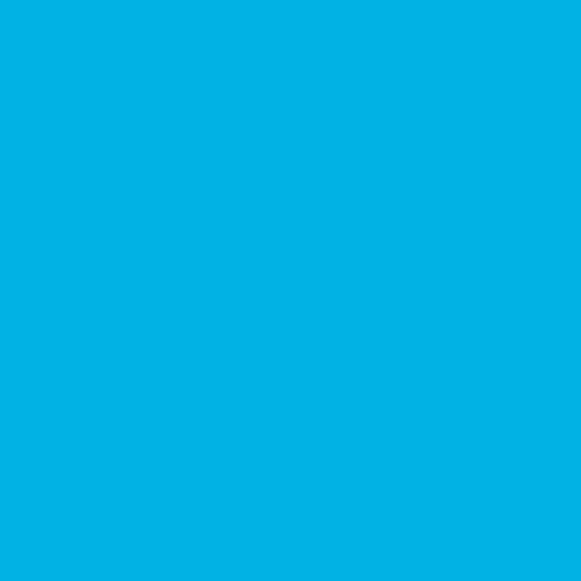 Blue Wave Aspen 15-ft Round 48-in Deep Above Ground Swimming Pool Package with Cover - Radiant Selections