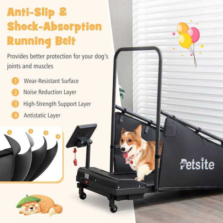 Indoor Pet Exercise Equipment with Remote Control - Pet Supplies online store