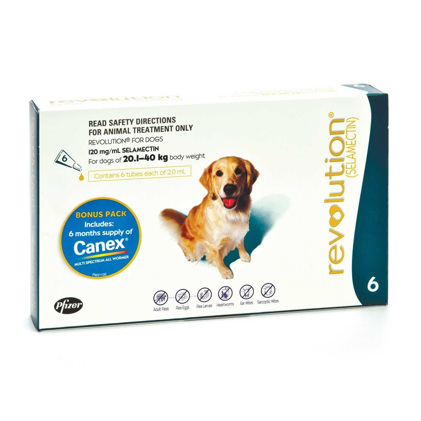 Revolution Teal 6 Pack - Pet Supplies online store