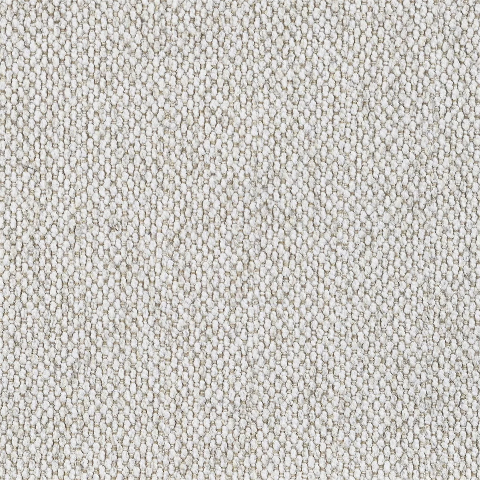 Coaster Rainn 2-piece Modern Fabric Upholstered Tight Back Living Room Set Latte