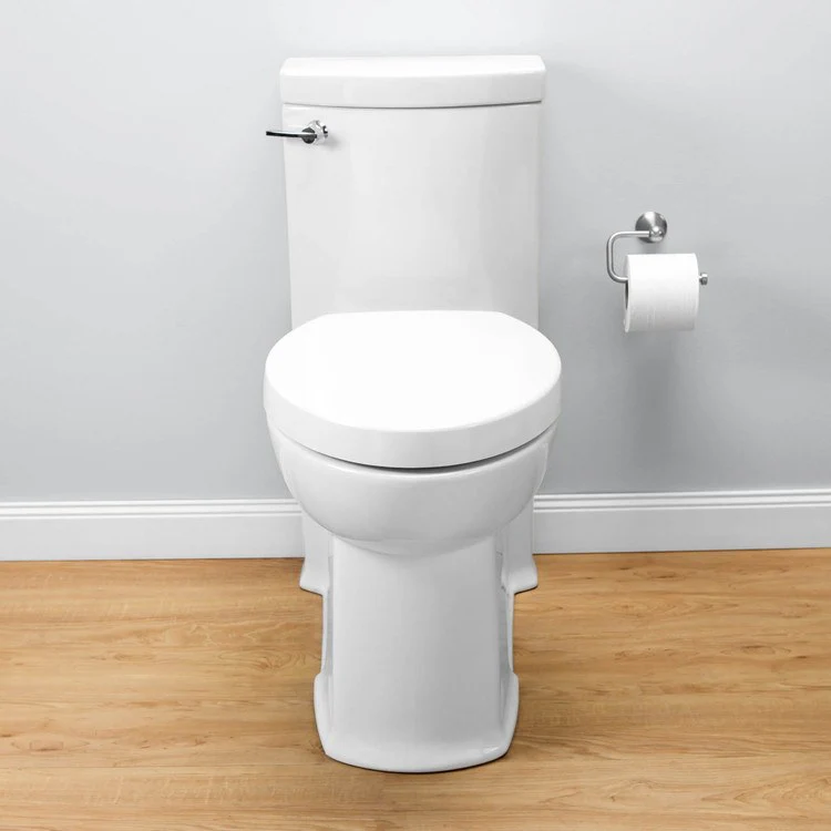 Boulevard Right Height FloWise Elongated 1-Piece Toilet