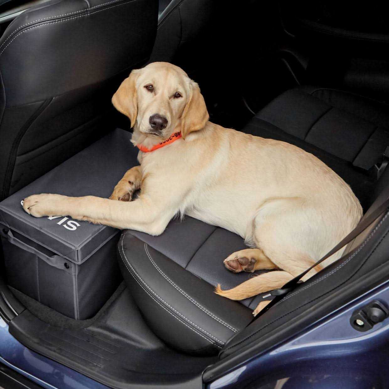 Orvis Backseat Extender with Storage at Aventuron - Pet Supplies online store