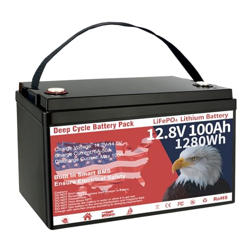 12V 100Ah LiFePO4 Lithium Battery Group 31 1280Wh Upgraded Low-Temp Protection LiFePO4 Battery, Built-in 100A Smart BMS