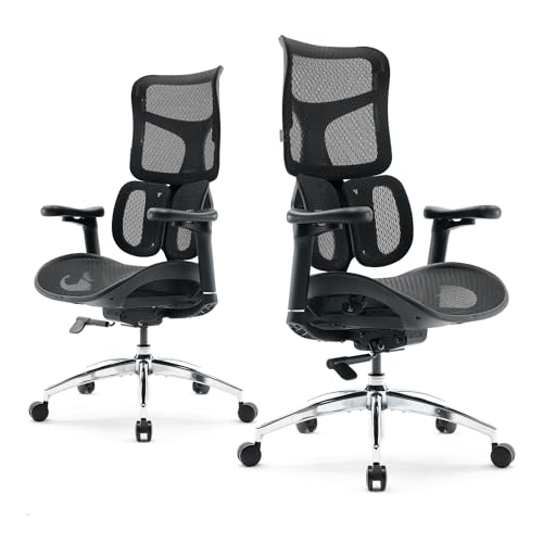 SIHOO Doro S300 Ergonomic Office Chair, Computer Chair, Gaming Chair with Dual Dynamic Lumbar Support, 6D Coordinated Armrests
