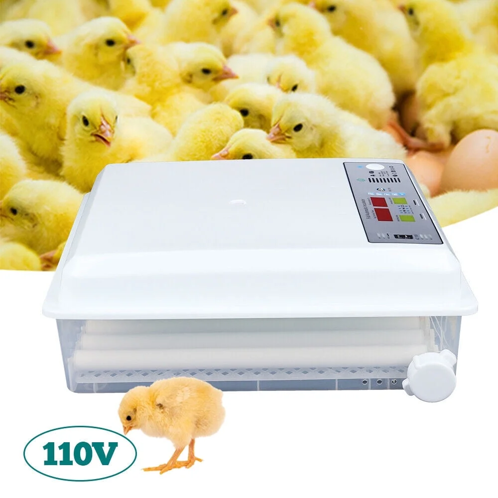 Egg Incubator 64 Eggs Fully Digital Automatic Hatcher Fits Hatching Chicken Farm - Curated Treasures Market