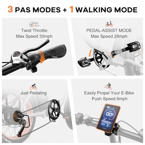 1000W Folding Electric Bike,48V 20AH Removable Battery E Bike,30+MPH,80 Miles Max Range Electric Bike for Adults,20" Fat Tire Foldable ebike