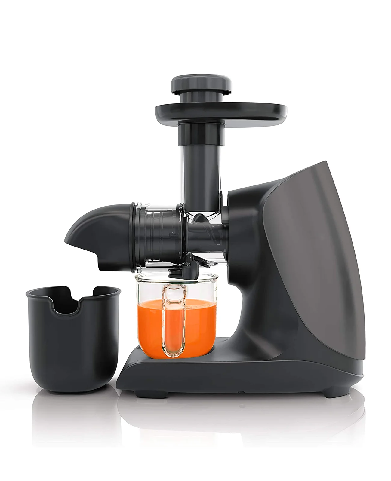 Masticating Juicer for Fruits Vegetables - Cold Press Slow Juicer with Total Pulp Control (Black)