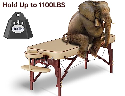 CLORIS 84" Professional Massage Table Portable 2 Folding Lightweight Facial Solon Spa Tattoo Bed Height Adjustable with Carrying Bag & Aluminium Leg