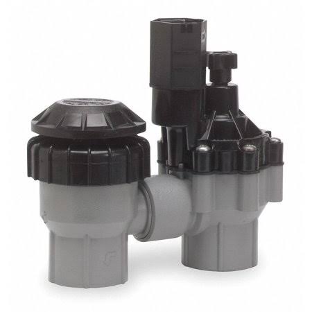 Rain Bird Valve, Antisiphon, 3/4in - DASASVF075