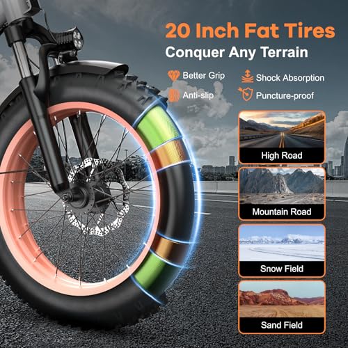 Folding Electric Bike for Adults with Peak 1000W Motor, 48V 20AH Battery up to 30MPH 80 Miles, 20" Fat Tire All Terrain Ebike