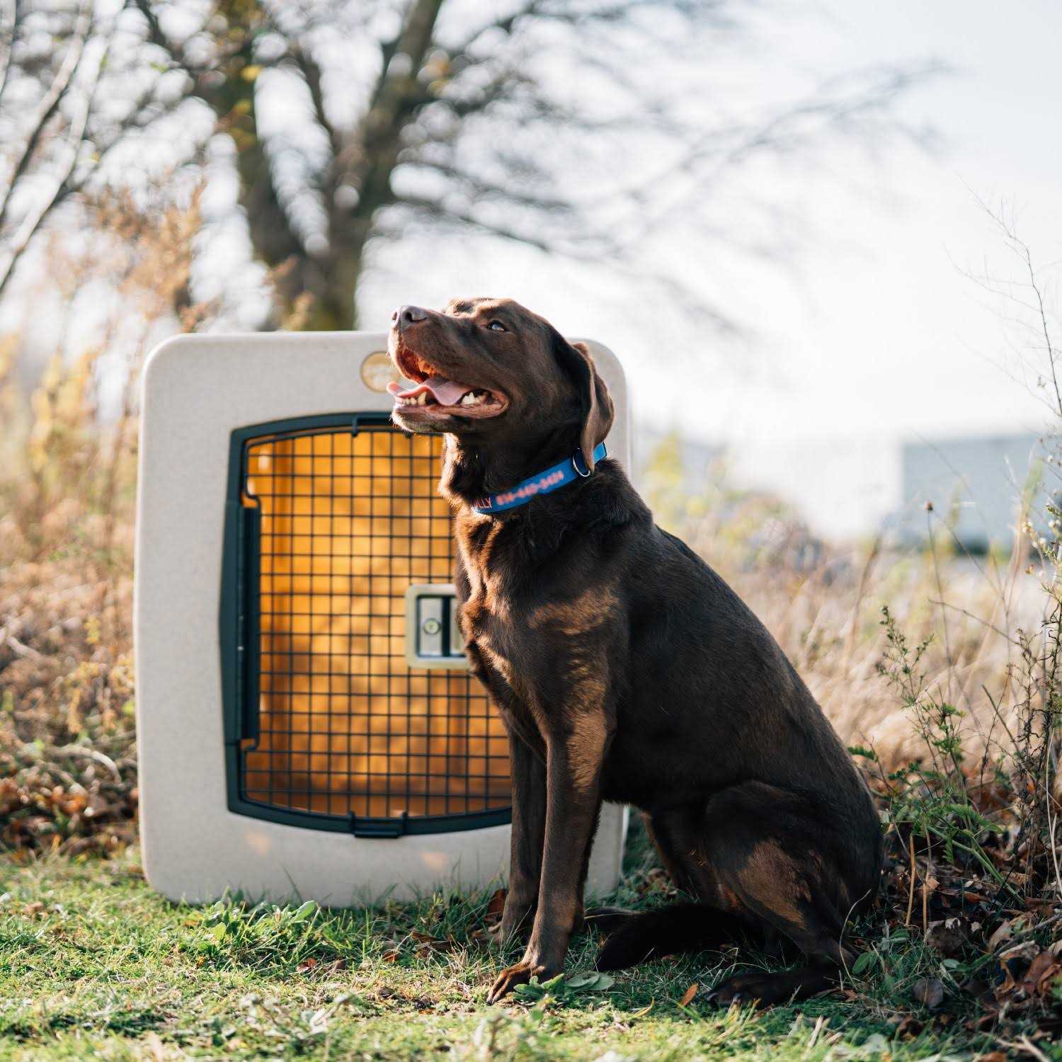 Dakota 283 G3 Framed Door Kennel