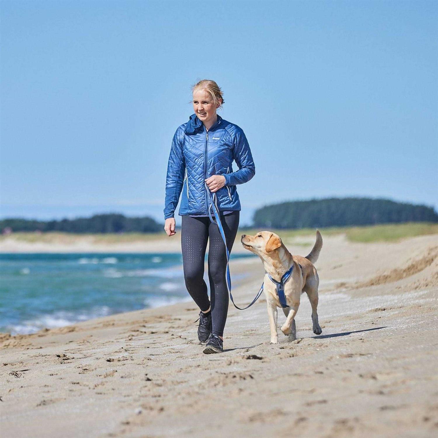 Non-Stop Dogwear Line Harness / Size - Pet Supplies online store