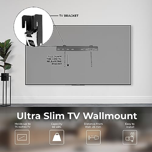 ONN 32-inch Roku Smart TV LED + Free Wall Mount with Wi-Fi Connectivity and Mobile App | Flat Screen TV Compatible with Apple Home Kit | Alexa and