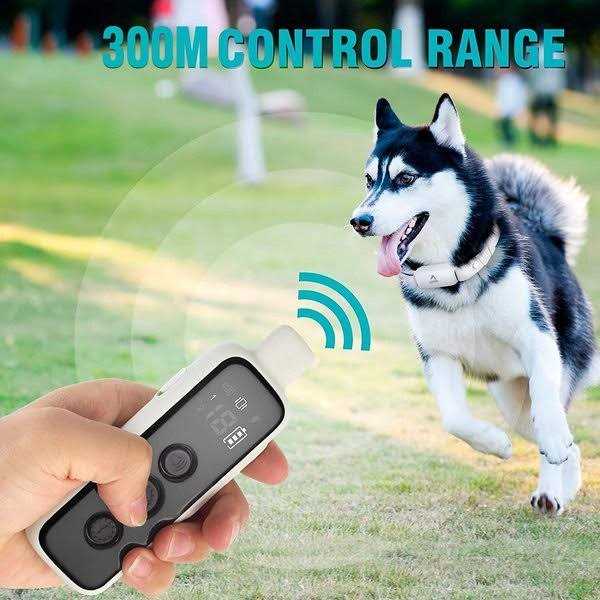 PATPET P650 Anti-Bark &amp; Remote Dog Training Collar - Pet Supplies online store