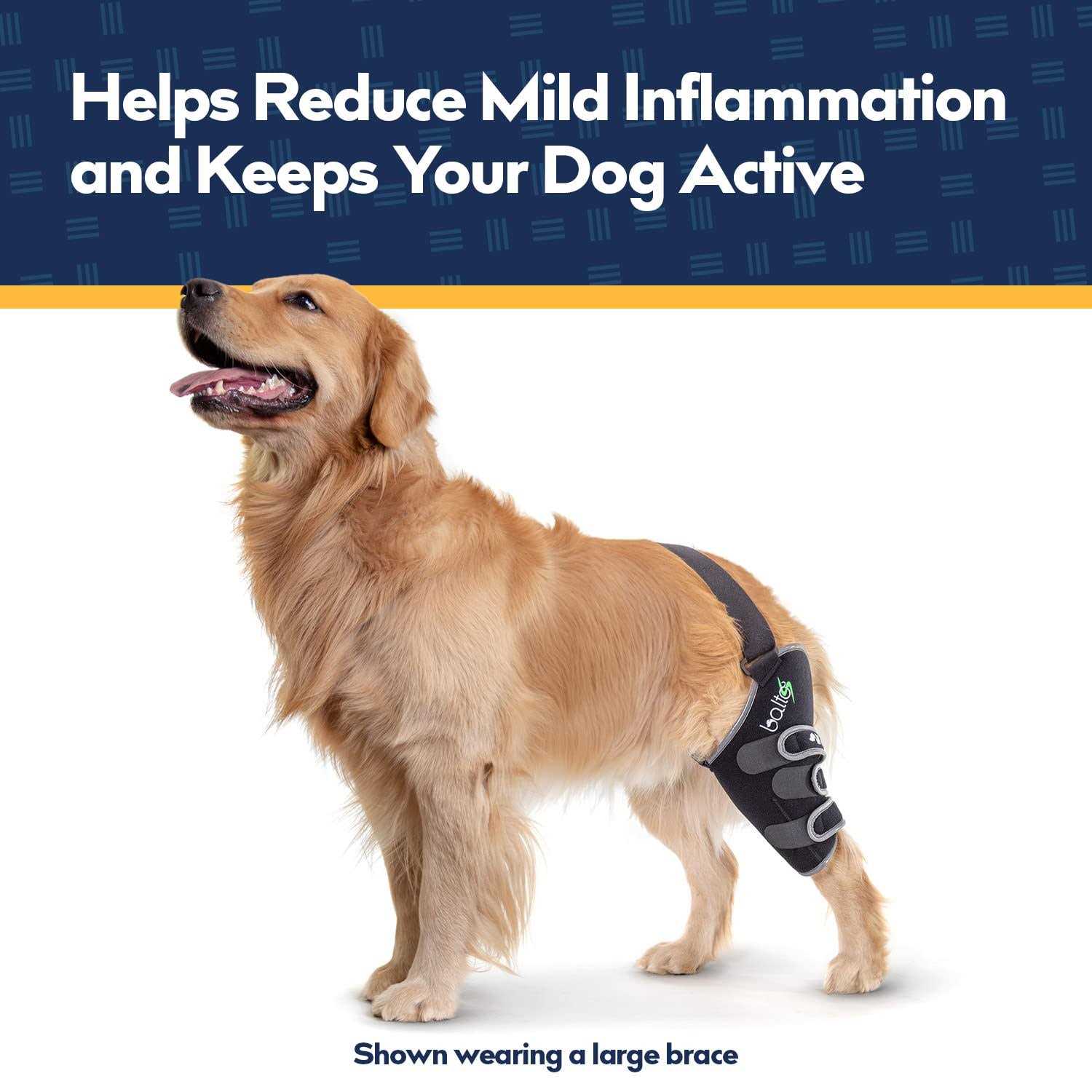 Balto Sport Agile CCL Brace Knee Support for Dogs Soft