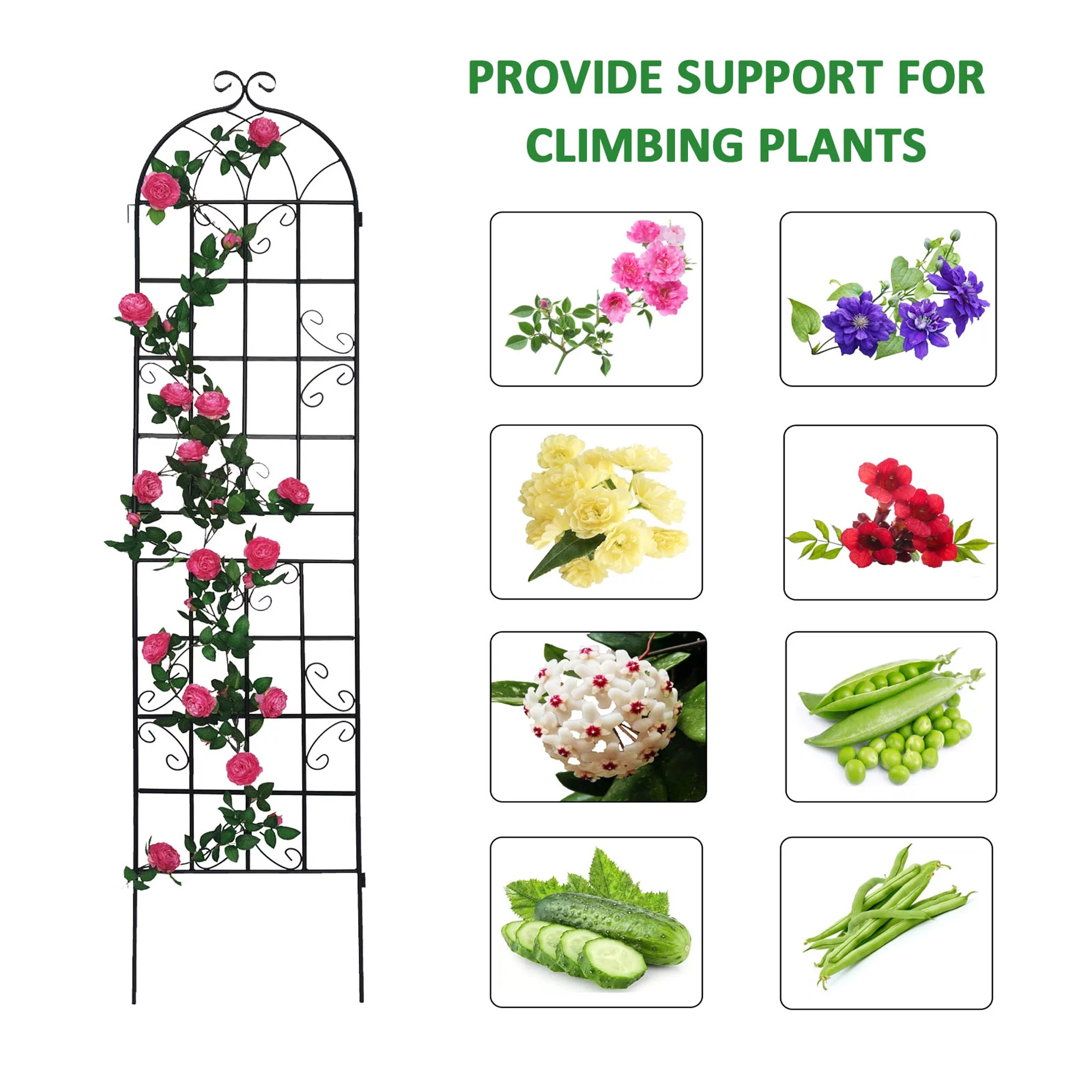 High Climbing Plants Support Rose Arch Outdoor, Metal Garden Trellis Black - Radiant Selections