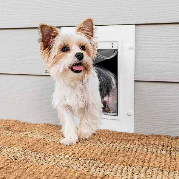 PetSafe Wall Entry Pet Door - Pet Supplies online store