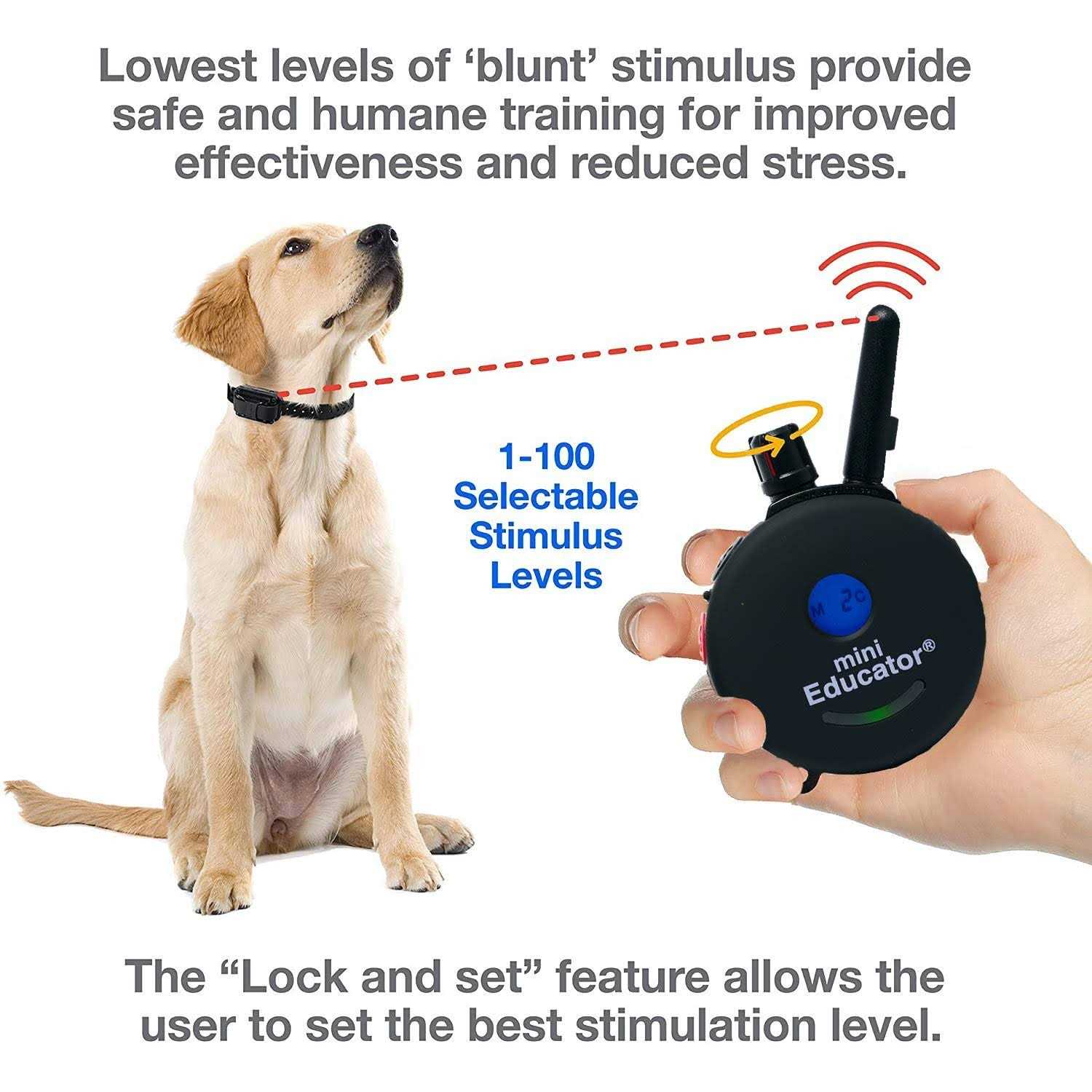 Mini Educator E-Collar ET-300 ET-302 Dog Training Collar System with Remote - Pet Supplies online store