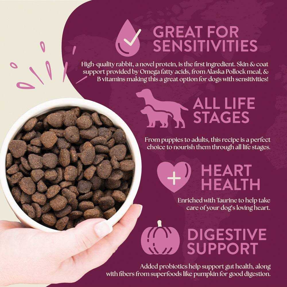 Earthborn Holistic Venture Grain Free Rabbit Meal Pumpkin Dry Dog Food - Pet Supplies online store