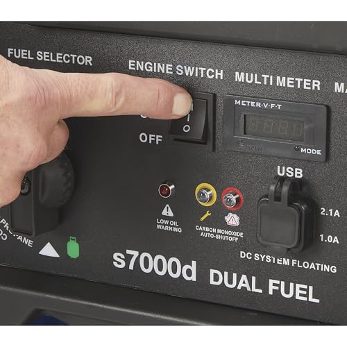 Powerhorse Portable Dual Fuel Generator with Electric Start, 9500 Watts