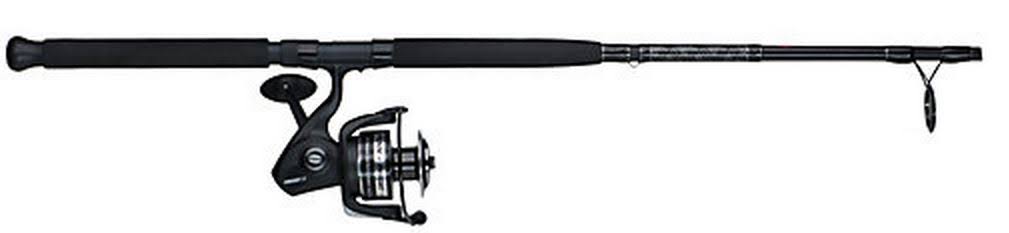 Penn Pursuit II Combo