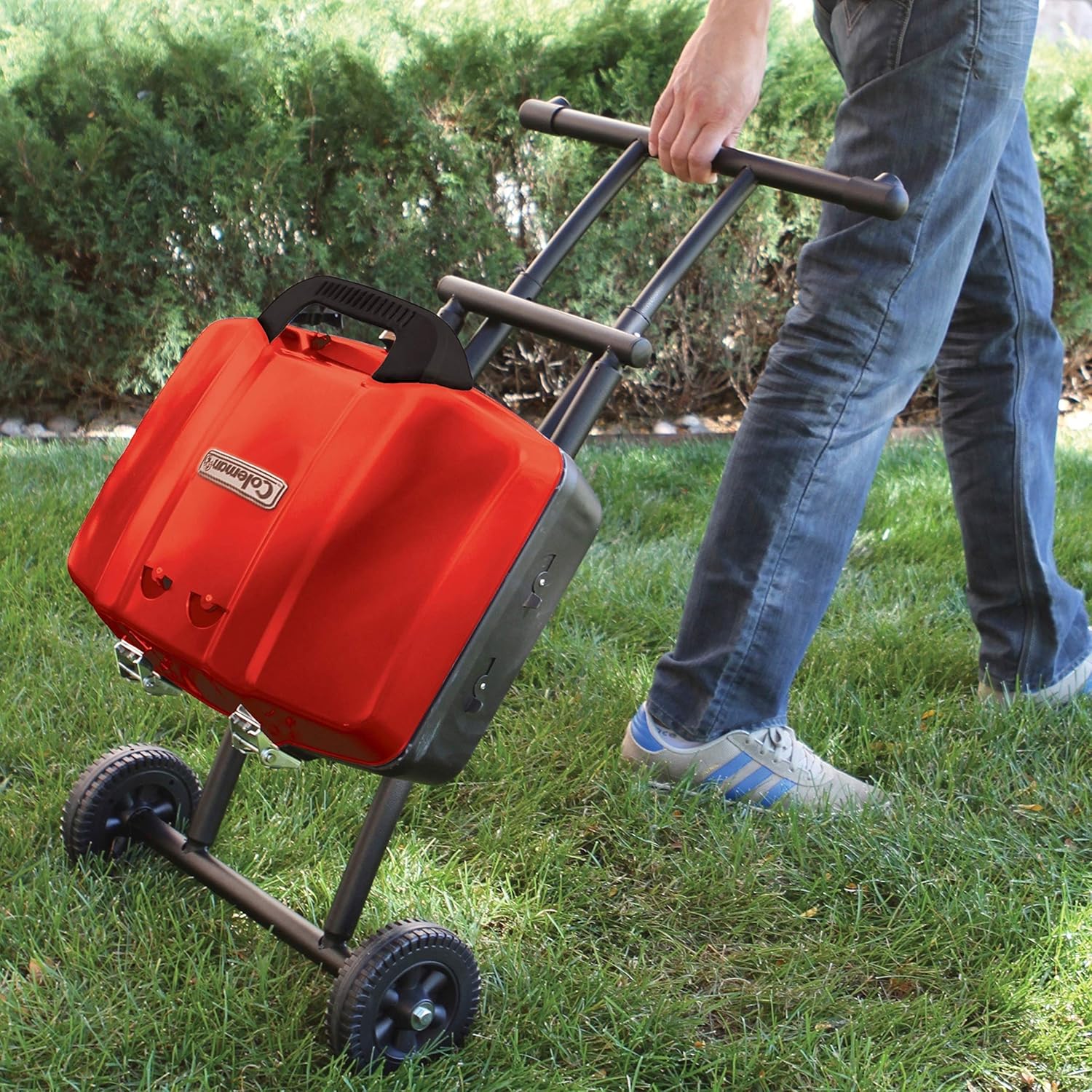 Coleman Gas Grill | Portable Propane Grill | Sportster Grill