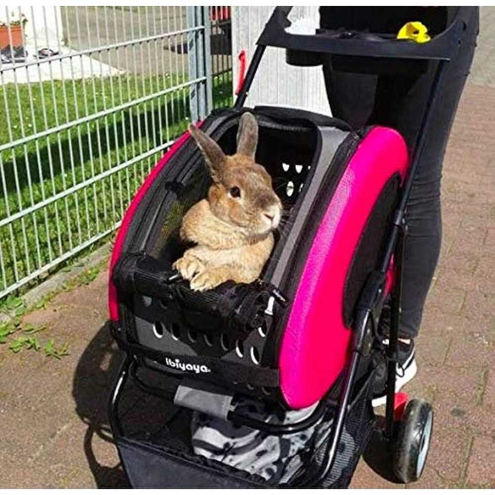 Ibiyaya 5-in-1 Combo EVA Pet Carrier / Stroller - Pet Supplies online store