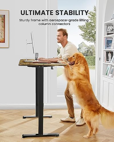 ErGear Height Adjustable Electric Standing Desk, 48 x 24 Inches Sit Stand up Desk, Memory Computer Home Office Desk with Two-Piece Desktop (Walnut)
