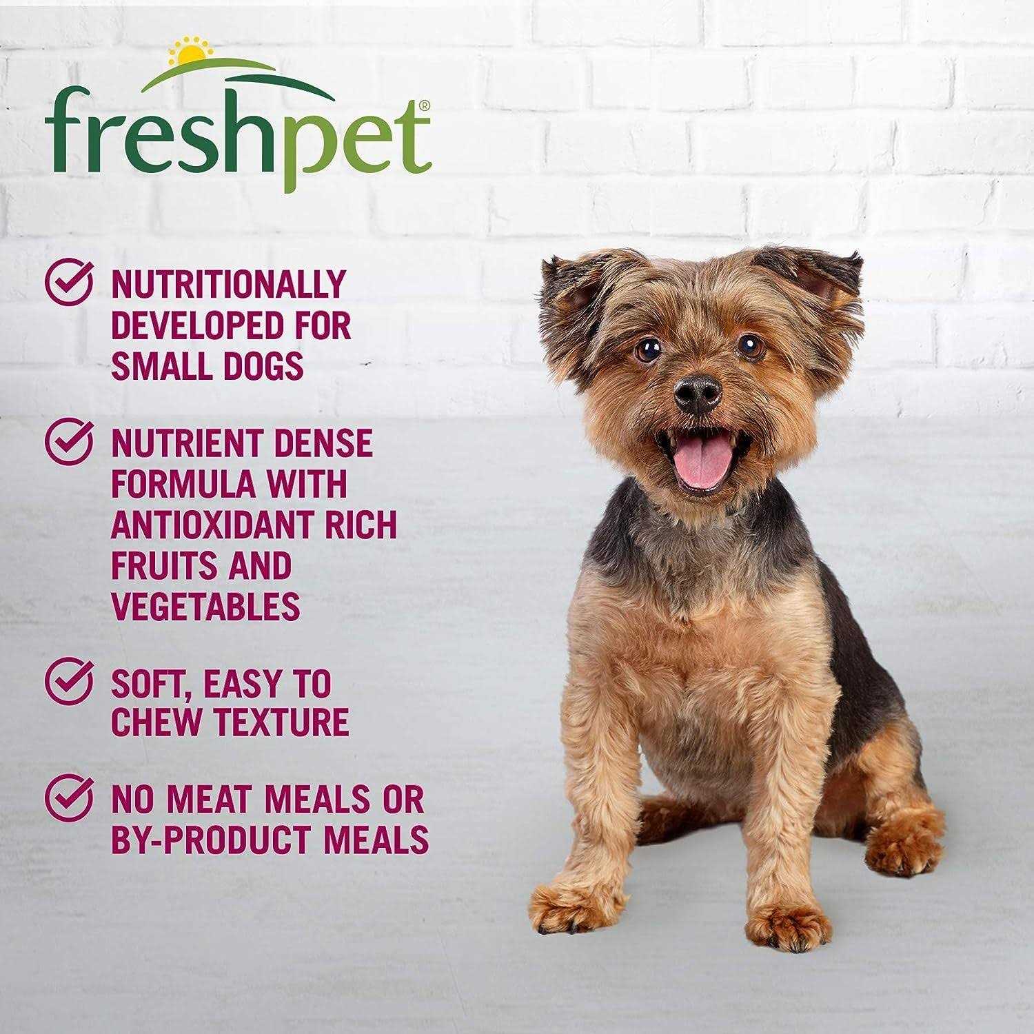 Salutem Vita Freshpet Dog Food Chunky Beef Recipe - Pet Supplies online store