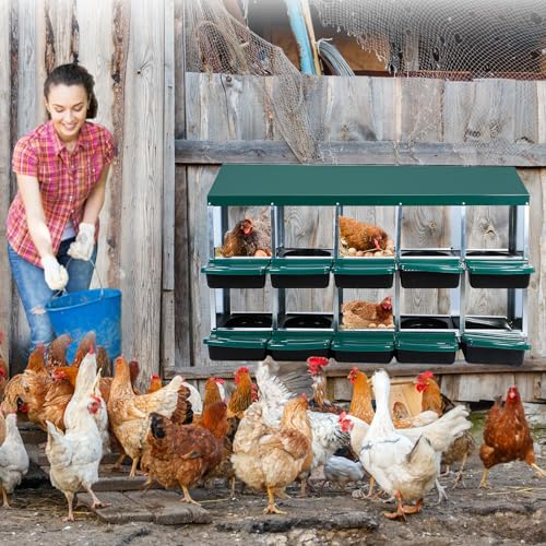 Chicken Nesting Box, 10 Hole 2 Layer Hen Nest Box with Legs, Roll Away Eggs Laying Boxes,Cleanable Pull Out Hen Roosting Boxes