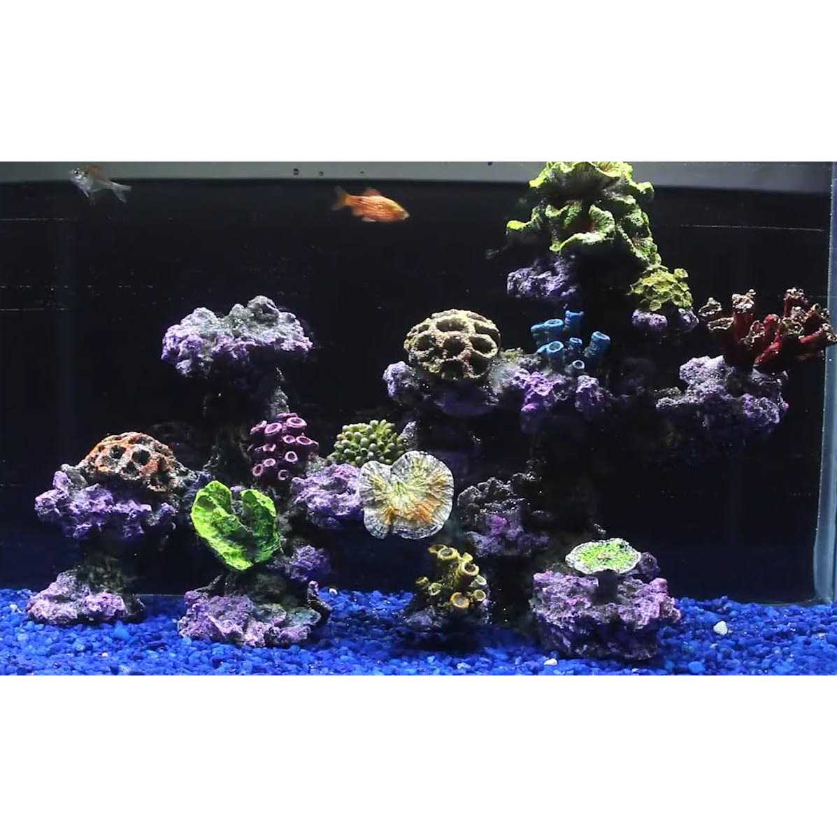 Penn-Plax Coral Reef Arch Aquarium Decoration Extra Large - Pet Supplies online store
