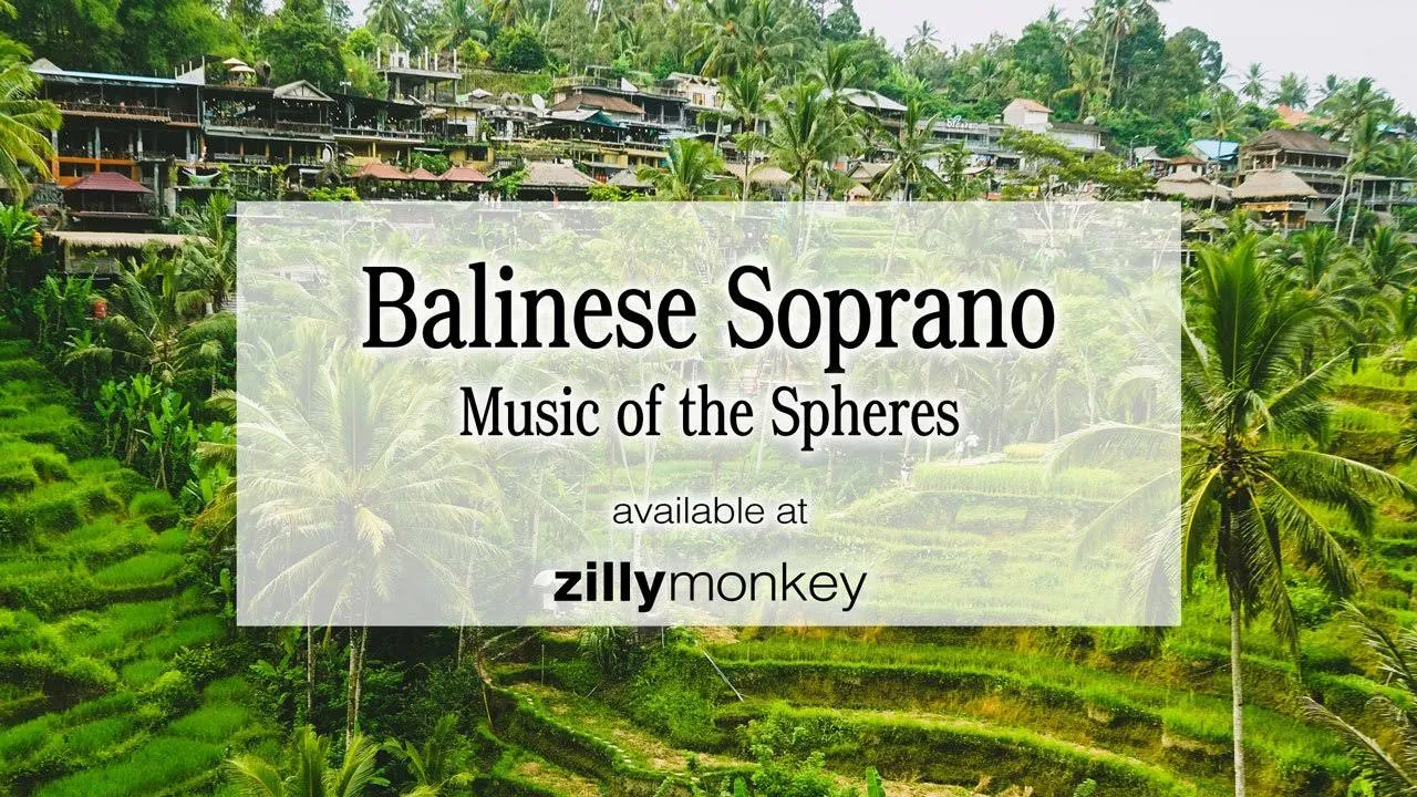 Music of The Spheres Balinese Alto Wind Chime