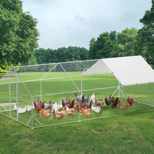 Large Metal Chicken Coop, Walk-in Poultry Cage
