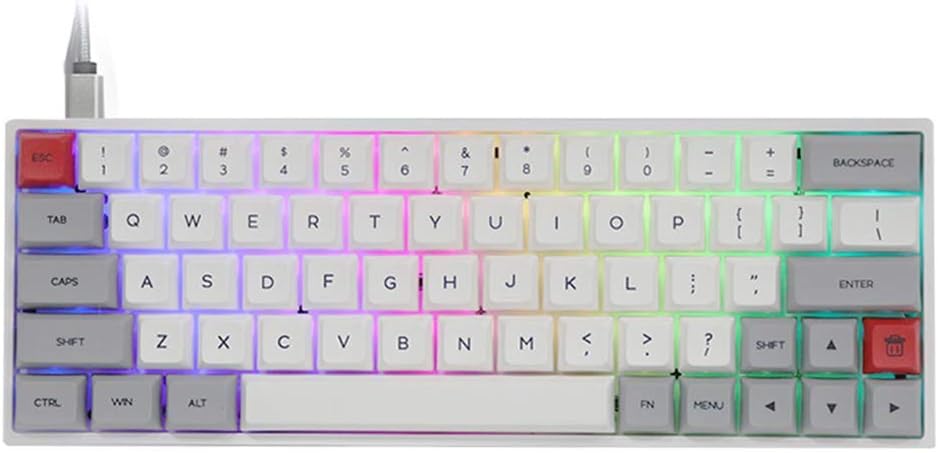 EPOMAKER SKYLOONG SK64 64 Keys Wired Hot Swappable Mechanical Keyboard with RGB Backlit, PBT Keycaps, Arrow Keys for Win/Mac/Gaming