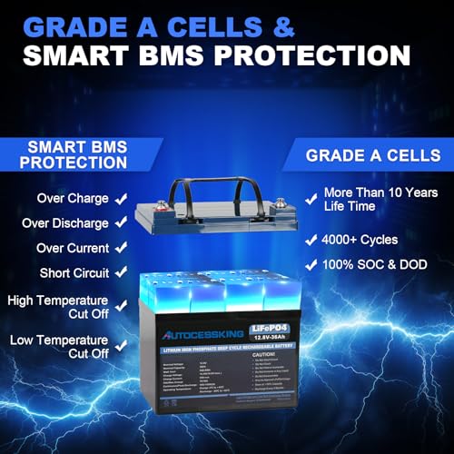 12V 100Ah BCI Group 24 LiFePO4 Battery, 100A BMS Rechargeable Mini Lithium Battery with Low-Temp Protection, Up to 15000 Cycles Perfect for RV