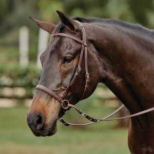 Dr. Cook Beta Bitless Bridle - Sports Supplies Online Store