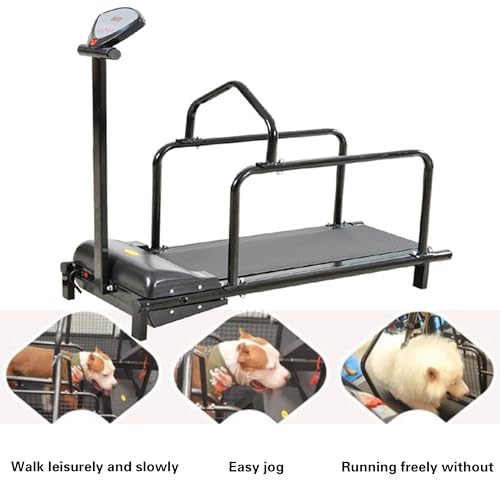 Electric Dog Treadmill for All Breeds - Quiet Motor, Adjustable Speed, LCD Display - Indoor Pet Fitness Machine for Small, Medium & Large Dogs & Cats