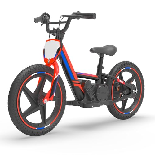 OLALA Electric Dirt Bike for Kids Aged 3-6, 170W Racing Grade Electric Motorcycle, New Aluminum Frame with 2 Power Modes, 24V Detachable Battery