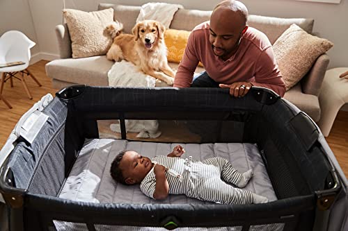 Safety 1st Play-and-Stay Play Yard, Easy fold, Full-Size Play Yard with Removable Full Bassinet, High Street