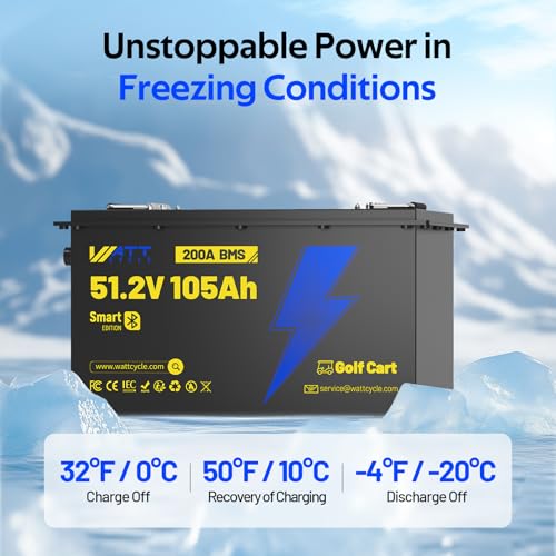 12V 314Ah Mini LiFePO4 Lithium Battery with Bluetooth 5.0, 200A BMS, 4.01kWh Energy, Upgraded Aluminum Cooling Fins & Braided Copper Wires, for RV