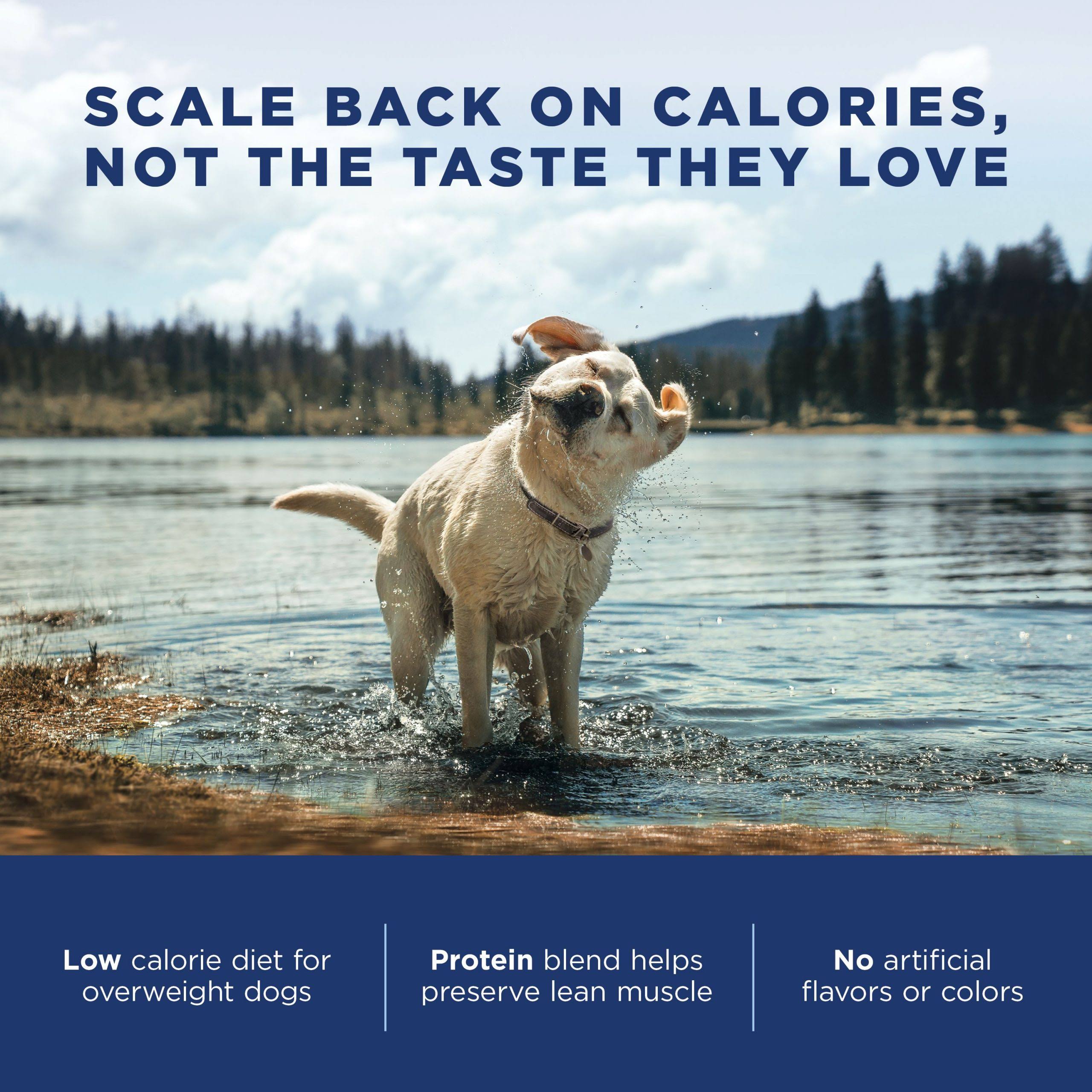 Natural Balance Fat Dogs Dog Food, Chicken Meal, Salmon Meal u0026 Barley Formula - 28 lb