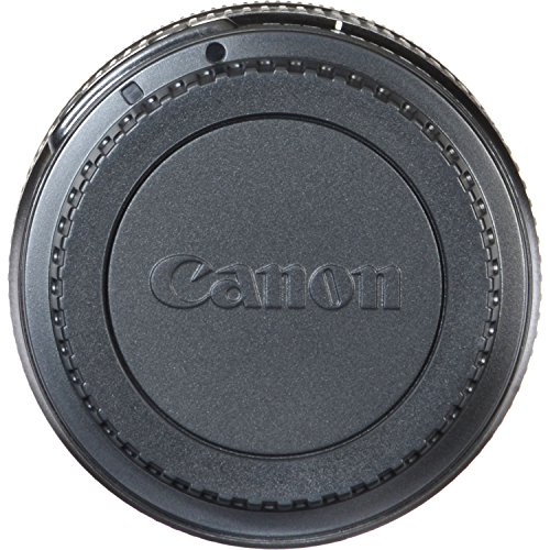 Canon 55-250mm STM