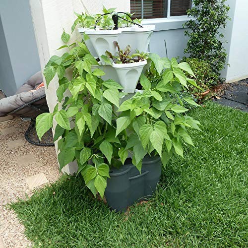Mr. Stacky Smart Farm - Automatic Self Watering Garden - Grow Fresh Healthy Food Virtually Anywhere Year Round