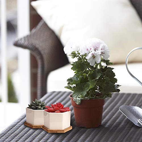 OAMCEG 6 Pack 4 Inch Succulent Pots - Small Succulent Planters