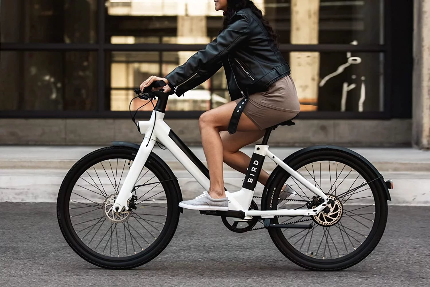 Bird - V-Frame eBike, 500Watt Motor, 50mi Max Range, 20mph Max Speed, Embedded Dash Display, Removable Battery, and App Compatible